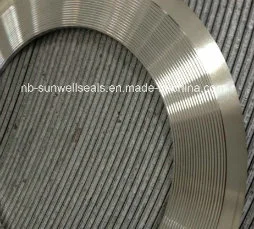 Kammprofile Gasket with Integral Outer Ring (SUNWELL)